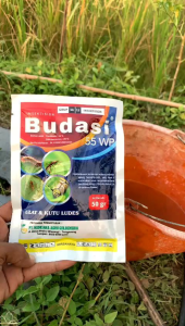 OBAT PEMBASMI ULAT INSEKTISIDA BUDASI 55 WP 50 GRAM