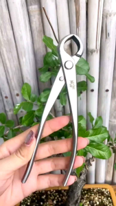 alat bonsai MAXWAN MSTWA 18.5cm catok krekut cembung stainles