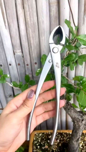 Alat Bonsai MAXWAN MSTWA Catok Krekut Miring Lurus Stainless Steel