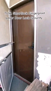 TUYA Smartlock Lever Type Door Lock Security