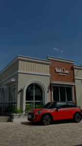 DAMEE DRESS NEW - Gamis Nadheera Luxury Terbaru motif