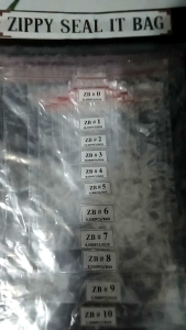 Zippy Ziplock Seal It Bags- 100 pcs per pack (Size #0 to #12)