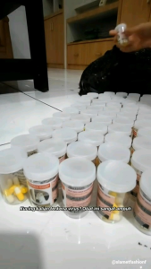 Obat Virus Kucing Calici Panleukopenia Distemper Paling Ampuh Antivirus Cat