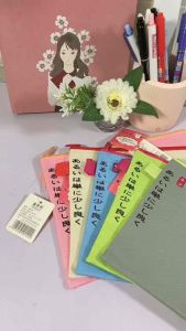 ZIPPER KUCING A5 LUCU /TAS PENYIMPANAN PENSIL/TEMPAT FILE LUCU