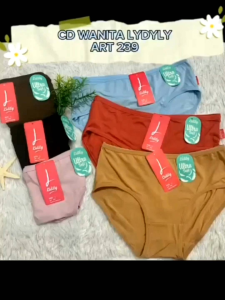 MURAH ISI 6 PCS celana dalam wanita dewasa / Sempak harian wanita / Cd polos wanita murah lembut
