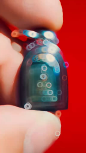 Thai Amulet Phra Prathanporn 帕攀谭彭佛祖