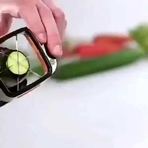 VERSI TERBARU PEMOTONG BUAH DAN SAYURAN PALI