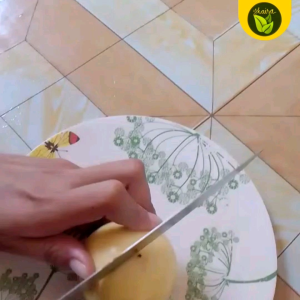 passion fruit 5 seeds for planting binhi pantanim