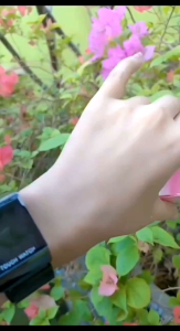 Sabun GWS Ayink Beauty: Pilihan Terbaik untuk Perawatan Kulit