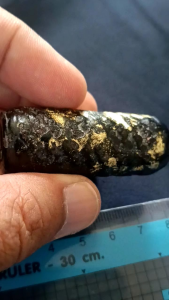 ตะกรุดสาริกา หลวงปู่ศุข วัดปากคลองมะขามเฒ่า