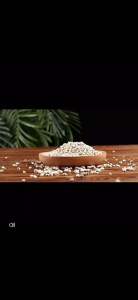 Red Sea Herbs 中国生薏米 500g|养生杂粮|健脾祛湿|China Barley|Raw Job’s Tears