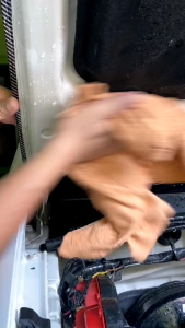 น้ำยาระเบิดขี้ไคลรถล้างคราบหมองเหลืองคราบสกปรกบนสีรถ1000ml