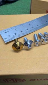 ☑️HENG FLUID FLOWER BOLTS m4x12 1 PC (PER PIECE)
