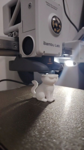 3D Printed Grumpy Cat Minimalist Keychain