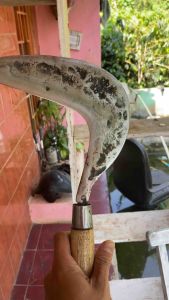 Arit Rumput Baja Asli Super Tajam Anti Rombal