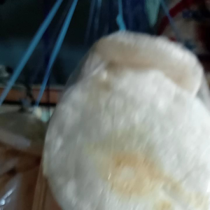 kerupuk kemplang Lampung pake sambel gurih enak mantap Kerupuk Sangrai Pedas Kemplang Jago - Lazada