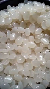 Kolang kaling Fresh murah meriah 1 kg