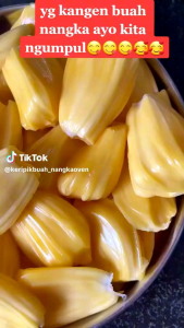 KERIPIK NANGKA OVEN 100GR KUALITAS