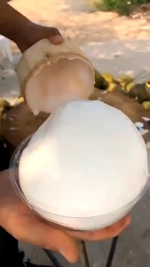 Dụng Cụ Lấy Cơm Dừa-Cùi Dừa "Non" Nguyên Trái Bằng Nhựa Mềm Dẻo