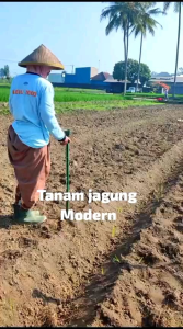 PLENTER ALAT TANAM JAGUNG 🌽 dan biji-bijian