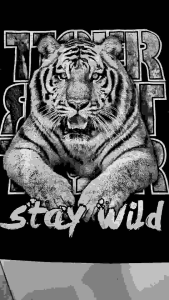 T-shirt Distro Baju Distro Pria Keren SABLON STAY WILD / Kaos Distro Pria lengan panjang/ Baju Cowok Keren / Kaos Distro / Baju Kaos Distro / Kaos Pria Distro / Baju Kaos Distro Bandung / Baju Kaos Distro Murah