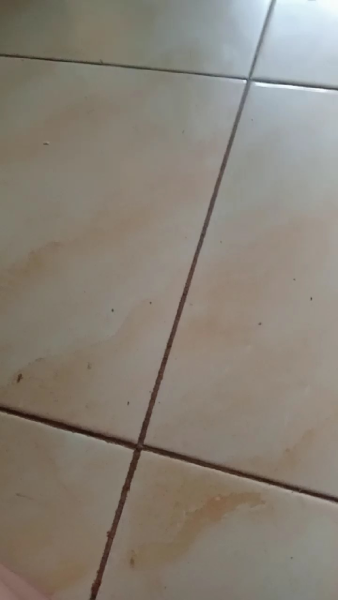 Buyer review video 3