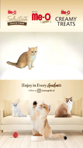 Makanan Kucing Super Premium Me-O Meo Selections Grain Free Freshpack 12 Kg