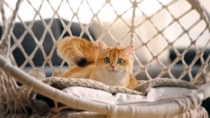 Makanan Kucing Meo Me-O gold Freshpack All Varian