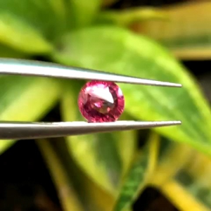 Batu Garnet Sri Lanka Natural Pyrope Garnet Sri Lanka 076 Ct: Warna Cerah dan Murah