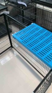 ชั้นติดตั้งในกรง ชั้นนอน ชั้นนอนแมว ที่นอนแมว