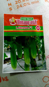 Benih Timun LABANA F1 Bintang Asia 20 Gram Bibit Mentimun