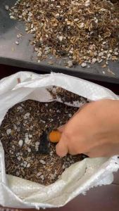 FAST DRAINING SOILLESS POTTING MIX | ALL PURPOSE POTTING MIX (for all types of plants)