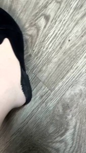 Sepatu BLACKPANDA wanita sepatu galata brand of BLACKPANDA  modell slop/mules terbaru wl7