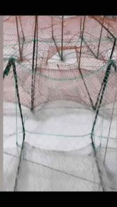 Lú bát quái lú 12 cửa ngục bắt tôm cá dài 4m mắt lưới 15p khung 25 x 35cm Bắt cá Fishing Bắt Tôm