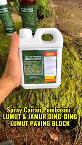 Spray PEMBERSIH LUMUT | PAVING BLOCK & JAMUR DING - DING Rumah 500ML
