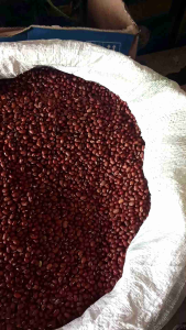 kacang merah lokal 1kg kacang sayur