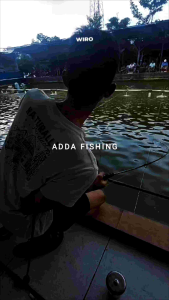 Essen Oplosan Luxurious Ikan Mas Induk Rame DGA - 15ml/30ml