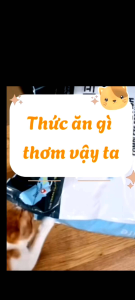 Thức Ăn Hạt Cho Mèo Care Cat Dành Cho Mèo mọi lứa tuổi