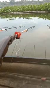 Cagak Pion Sensitive Pratama Akrilik Merah Timbangan Joran