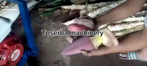 MESIN CACAH RUMPUT PAKAN TERNAK  PENCACAH RANTINGDEDAUNANBATANG PISANG