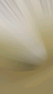 Cover Engine Pelindung Mesin Pcx Vario Adv Stylo 160 Stainless