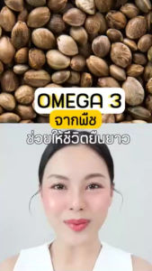 กิฟฟารีน เอแอลเอ มัลติ แพลนท์ โอเมก้า3 จากพืช Giffarine ALA Multi Plant Omega3 ลดไขมัน ต้านอักเสบ ต้านอนุมูลอิสระ ชะลอวัย