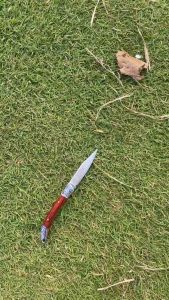 Dao gọt hoa quả trái cây ghép cành Nhật Tamahagane lưỡi không gỉ sắc bén