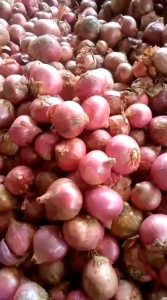 Bawang merah 1kg asli garut kualitas super UMKM lokal