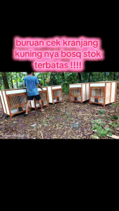 kandang merpati lipat ukuran 70x70x90