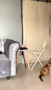 Jaket Tracksuit Windbreaker Jaket 0lahraga Running