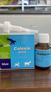 COLEXIN pump (100ml) Holland chặn đứng tiêu chảy ở gia súc