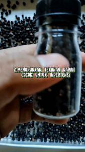 BUAH ANGKUNG KERING OBAT HERBAL STROKE/DARAH TINGGI DAN SARAF KEJEPIT 800 BIJI BONUS 40 BIJI