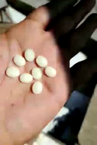 Batu Akik Posfor Asli Menyala Dalam Gelap Terang Sekali Dim 10 x 8 Terbaik