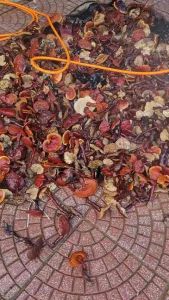 Nấm Linh chi rừng Tây Bắc thu hái phơi khô tự nhiên. Thảo dược quý Nấm Linh chi đỏ Nấm Lim xanh-- Đặc Sản 277